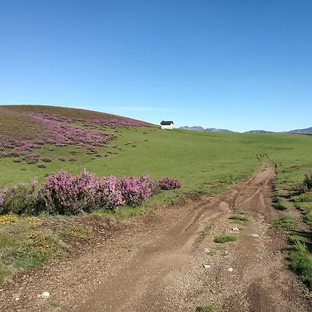 La Cochorla
